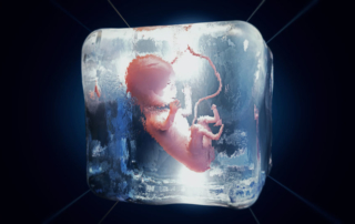 ReUnite Rx Do frozen embryo transfers take longer to implant