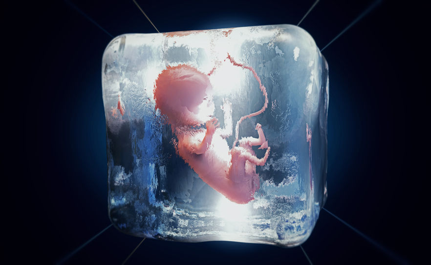 Do Frozen Embryo Transfers Take Longer To Implant ReUnite Rx