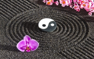 ReUnite Rx Acupuncture Massage Yoga Frozen Embryo Transfer