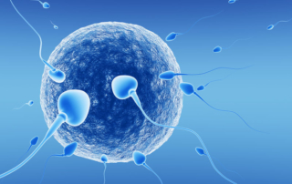 large-ReUnite Rx Sperm Extraction TESA vs. TESE Understand the Difference