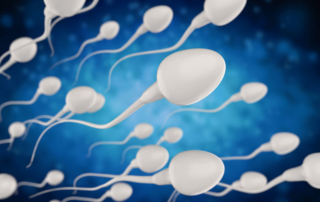 ReUnite Rx Understanding Micro-TESE | Microscopic Testicular Sperm Extraction