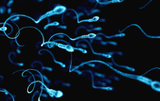 ReUnite Rx Improving Male Fertility | 5 Ways to Increase Sperm Count