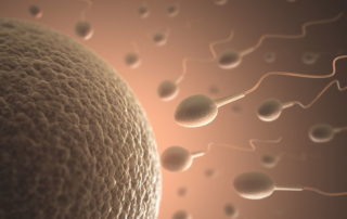 ReUnite Rx Sperm Retrieval for IVF 3 Benefits of Sperm Harvesting