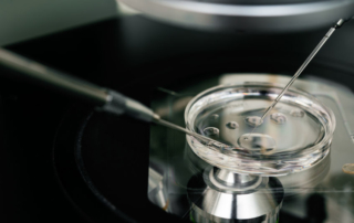 ReUnite Rx The Waiting Period 5 Common Concerns After IVF Embryo Transfer
