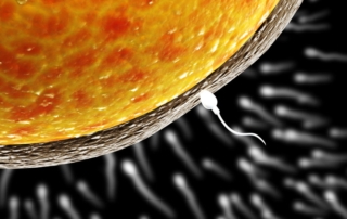 ReUnite Rx PESA vs TESA Why Choose Sperm Aspiration During IVF