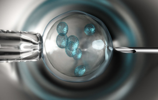 reunite rx What Is In Vitro Maturation IVM vs IVF