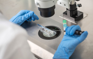 reunite rx What Is A Blastocyst Culture Understanding The IVF Process