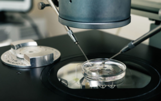 reunite rx What Is Assisted Hatching Understanding IVF Options