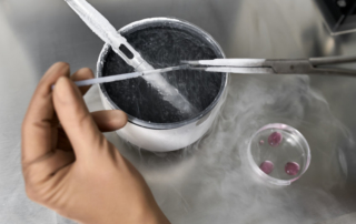 reunite rx What Is A Stimulated Cycle For Egg Freezing Or IVF?