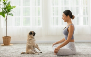 reunite rx IVF With PCOS 4 Lifestyle Changes To Increase The Chances Of Pregnancy.jpg