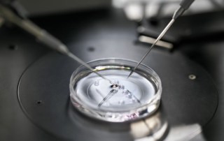 reunite-rx-Can-You-Combine-GIFT-With-IVF-Maximizing-Your-Chances-Of-Pregnancy-With-ART