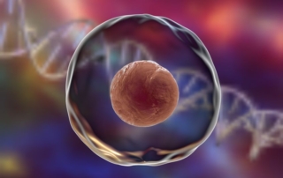 reunite-rx-Does-Assisted-Hatching-Help-Or-Hurt-IVF-Improving-Implantation-Success-During-In-Vitro-Fertilization