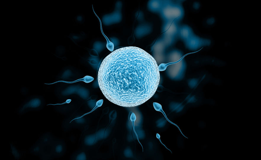 reunite-rx-Micro-TESE-Explained-How-Sperm-Extraction-Can-Help-Male-Factor-Infertility
