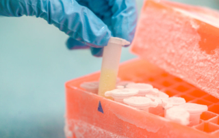 renue-rx-Cryopreservation-Crossroads-Understanding-Your-Options-For-Freezing-Eggs-_-Embryos