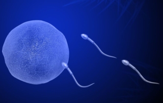 reunite-rx-Azoospermia-Treatment-Can-ICSI-Help-With-Low-Sperm-Count