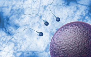 reunite-rx-Prostatitis-_-Male-Fertility-When-To-Consider-IVF-As-Your-Best-Option