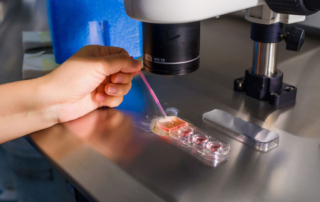reunite-rx-Understanding-The-Vital-Role-Of-Hormones-In-Fertility-_-IVF-Treatments