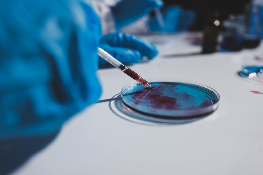 reunite-rx-The-Complete-IVF-Process-From-Consultation-To-Embryo-Transfer reunite-rx-The-Complete-IVF-Process-From-Consultation-To-Embryo-Transfer