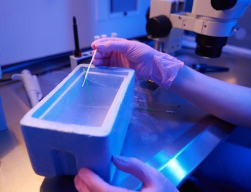 How Cryopreservation Improves IVF Flexibility And Success