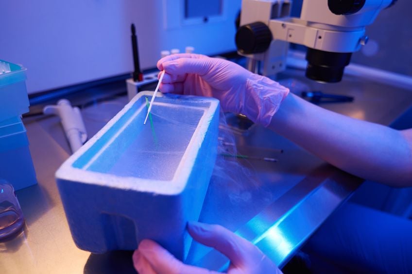 ReUnite-Rx-How-Cryopreservation-Improves-IVF-Flexibility-And-Success