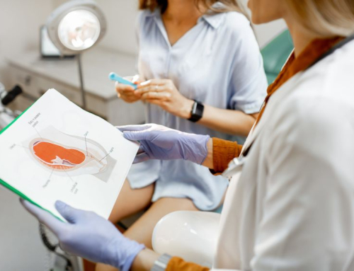 Embryo Transfer Day: What To Expect Before & After