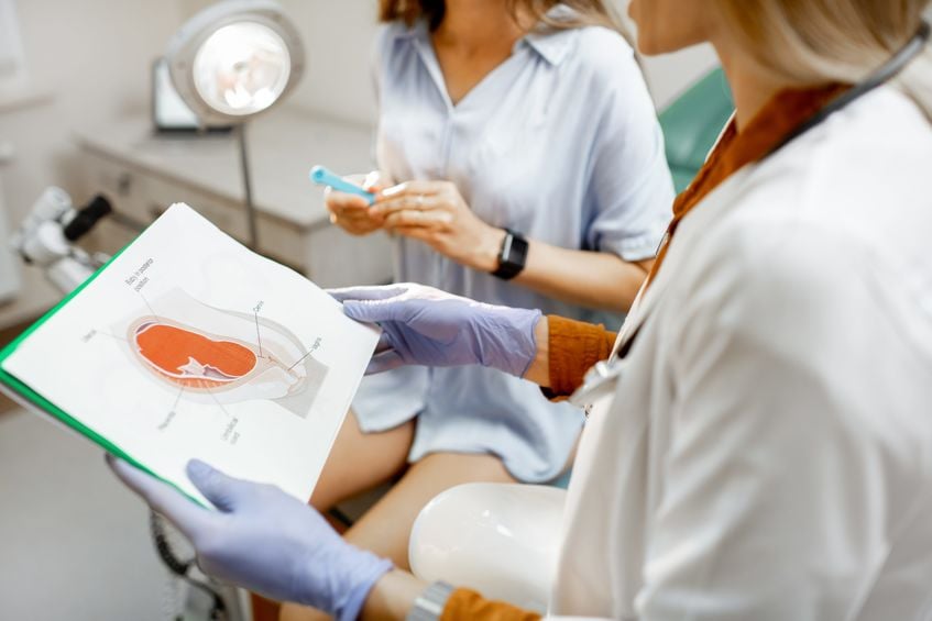 reunite-rx-Embryo-Transfer-Day-What-To-Expect-Before-After. reunite-rx-Embryo-Transfer-Day-What-To-Expect-Before-After.