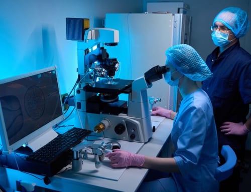 How Embryo Selection Technology Enhances Success Rates