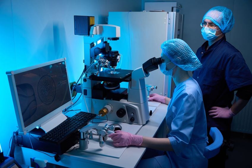 reunite-rx-How-Embryo-Selection-Technology-Enhances-Success-Rates reunite-rx-How-Embryo-Selection-Technology-Enhances-Success-Rates