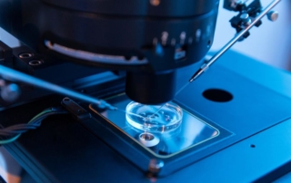 reunite-rx-The-Science-Behind-Ovulation-Stimulation-In-Assisted-Reproductive-Technology