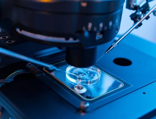 The Science Behind Ovulation Stimulation In Assisted Reproductive Technology