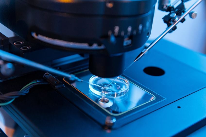 reunite-rx-The-Science-Behind-Ovulation-Stimulation-In-Assisted-Reproductive-Technology