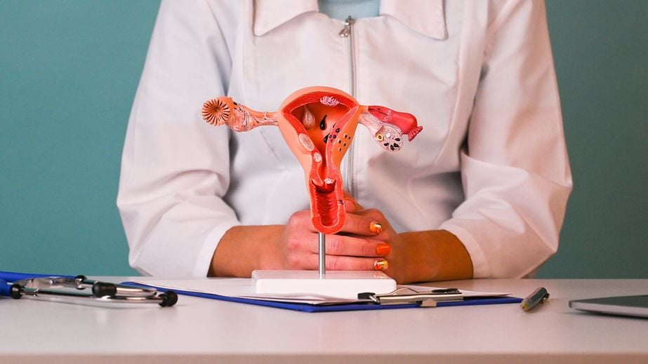 ReUnite-Rx-Blocked-Fallopian-Tubes-How-They-Affect-Fertility-Treatment-Options