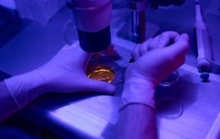 ReUnite-Rx-IVF-Success-Factors-Age-Egg-Quality-Embryo-Health