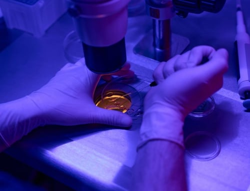 IVF Success Factors: Age, Egg Quality & Embryo Health
