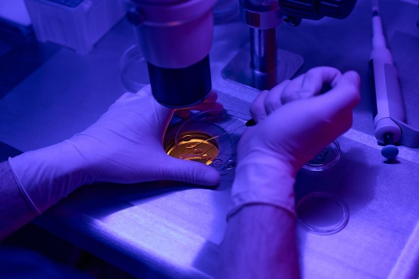 ReUnite-Rx-IVF-Success-Factors-Age-Egg-Quality-Embryo-Health